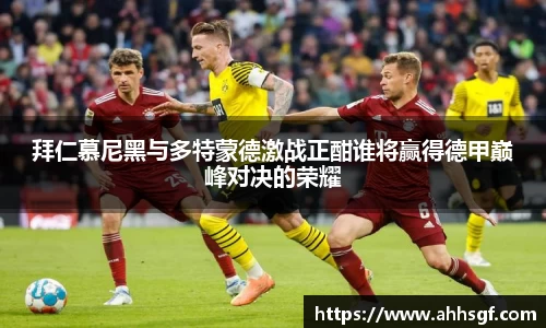 EMC易倍体育EMC SPORTS